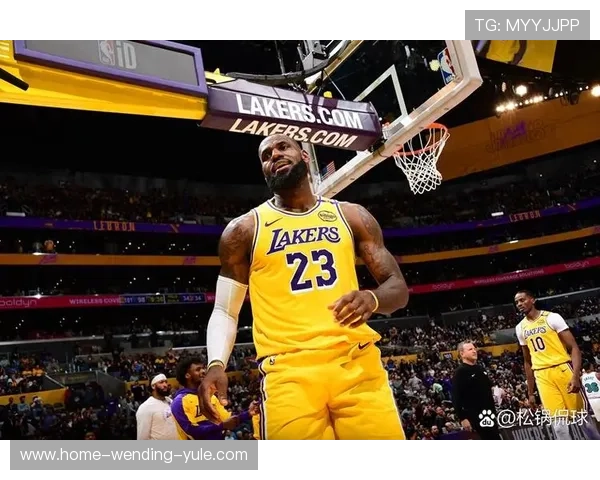 湖人新赛季阵容大调整 詹姆斯领衔冲击总冠军